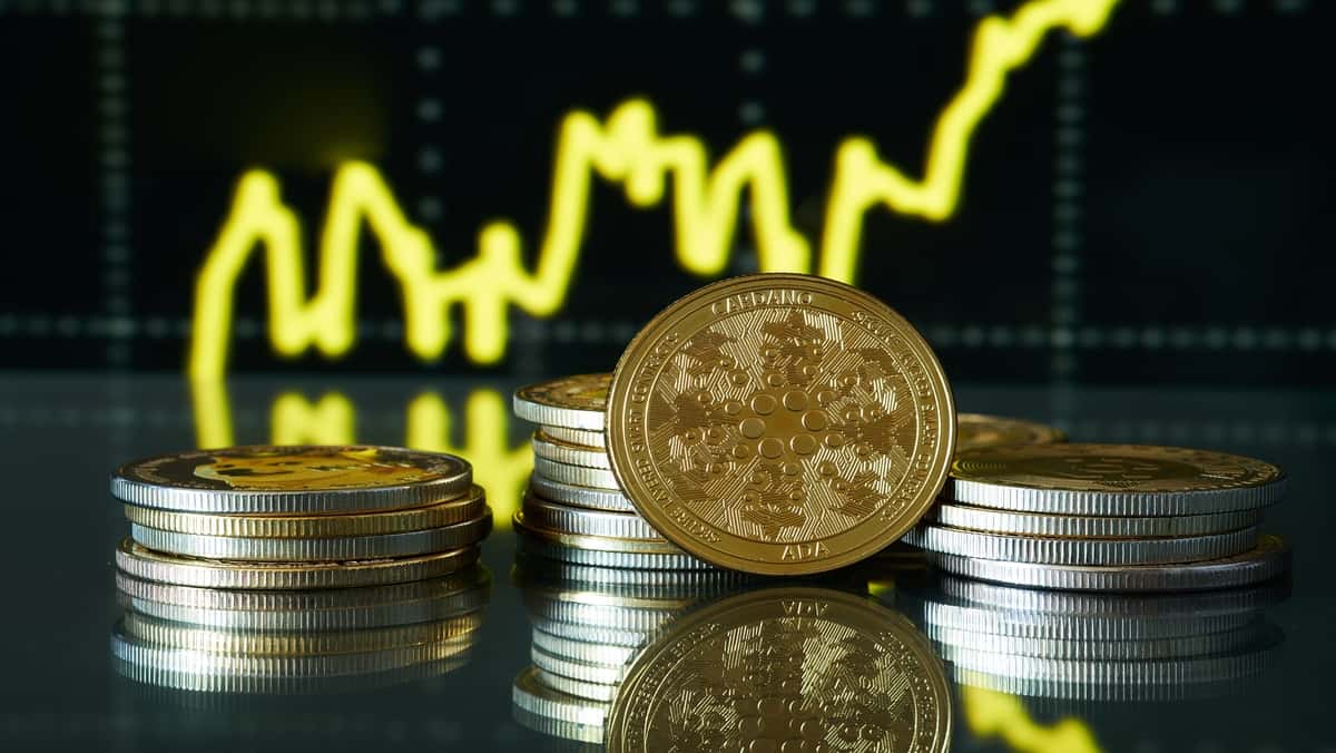 latest-articles