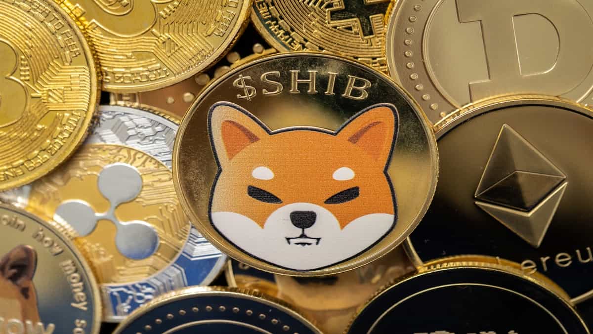 latest-articles