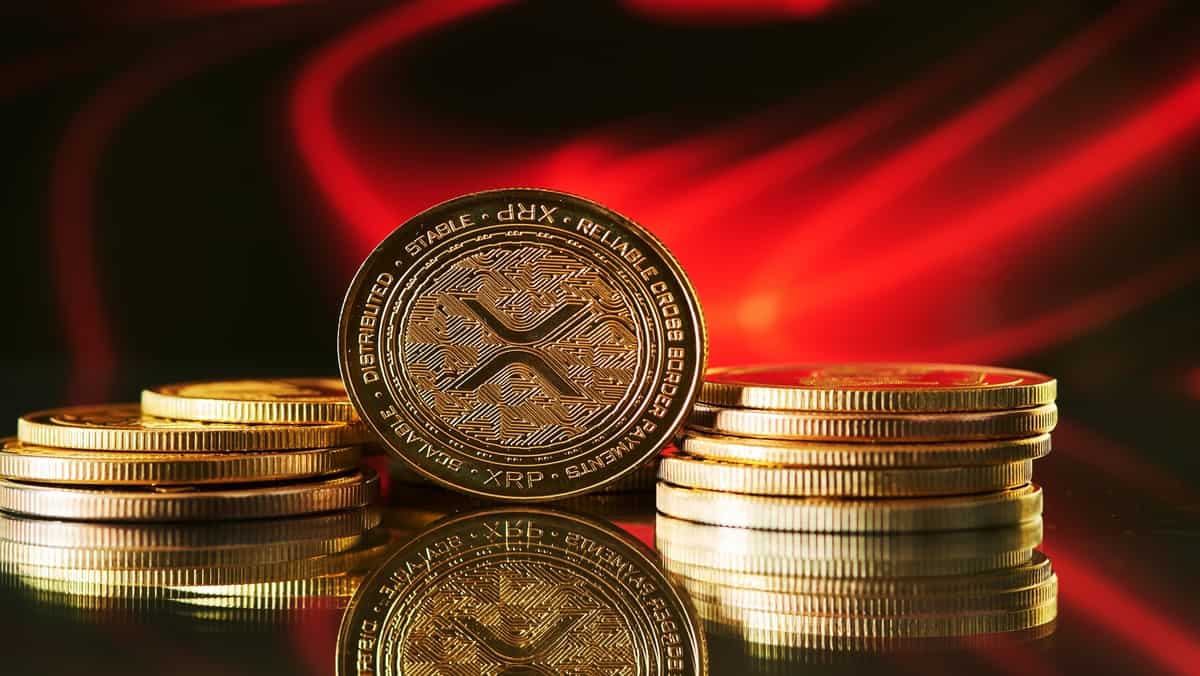 latest-articles