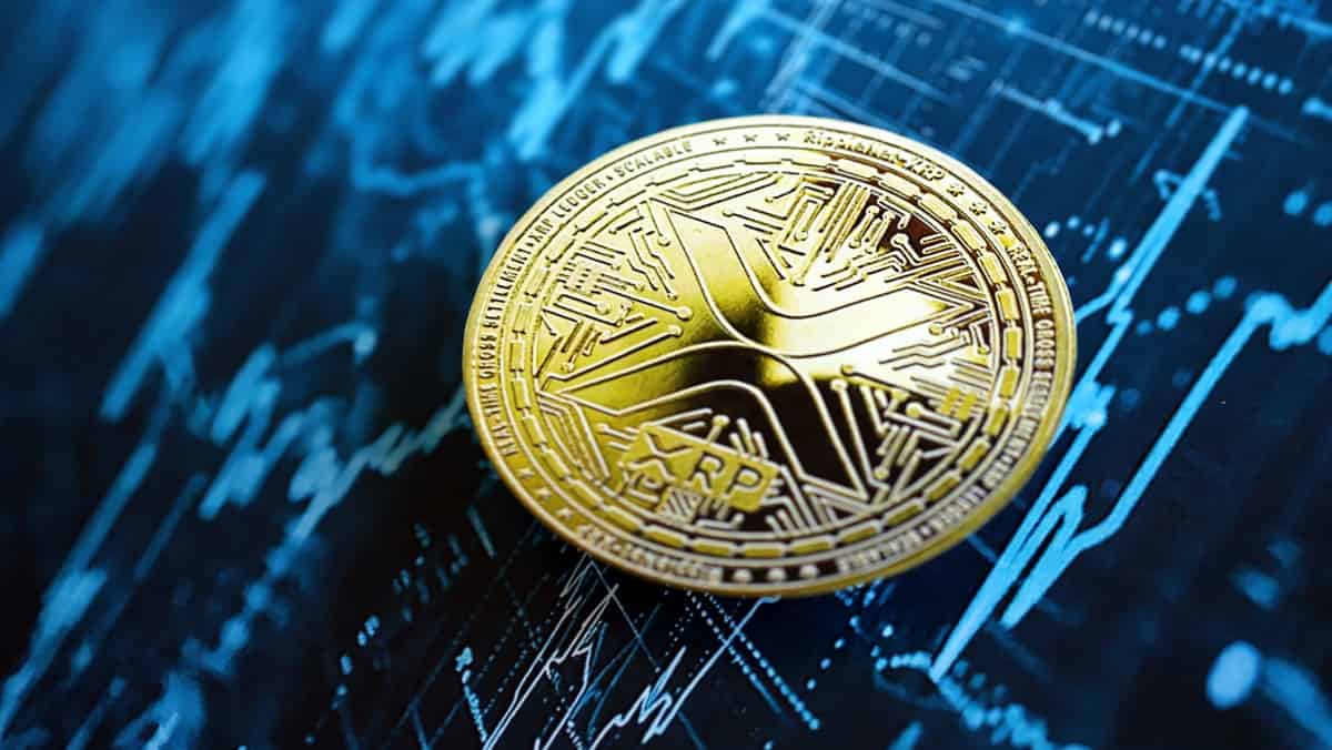 markets.com
